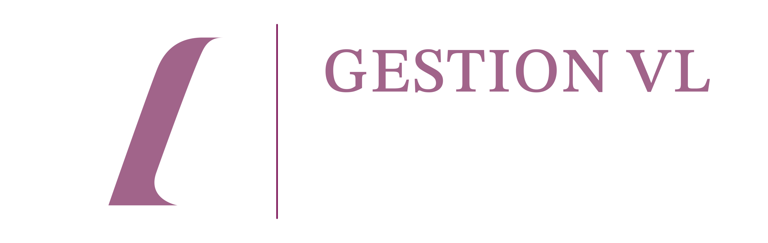 Gestion VL Expertise et Accompagnement en copropriété